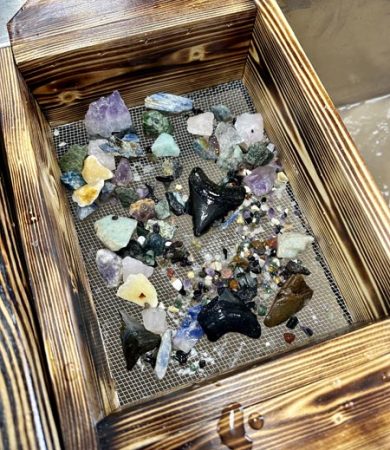 Photo-Mar-01-2024-10-14-14-AM.jpg