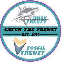 frenzy-logo-duo